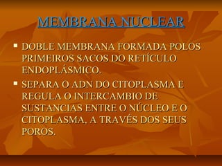 MEMBRANA NUCLEAR




DOBLE MEMBRANA FORMADA POLOS
PRIMEIROS SACOS DO RETÍCULO
ENDOPLÁSMICO.
SEPARA O ADN DO CITOPLASMA E
REGULA O INTERCAMBIO DE
SUSTANCIAS ENTRE O NÚCLEO E O
CITOPLASMA, A TRAVÉS DOS SEUS
POROS.

 