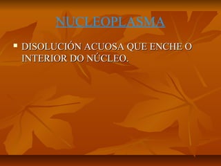 NUCLEOPLASMA


DISOLUCIÓN ACUOSA QUE ENCHE O
INTERIOR DO NÚCLEO.

 