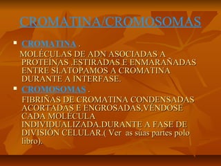 CROMATINA/CROMOSOMAS
CROMATINA .
MOLÉCULAS DE ADN ASOCIADAS A
PROTEÍNAS .ESTIRADAS E ENMARAÑADAS
ENTRE SÍ.ATOPAMOS A CROMATINA
DURANTE A INTERFASE.
 CROMOSOMAS .
FIBRIÑAS DE CROMATINA CONDENSADAS
ACORTADAS E ENGROSADAS,VÉNDOSE
CADA MOLÉCULA
INDIVIDUALIZADA.DURANTE A FASE DE
DIVISIÓN CELULAR.( Ver as súas partes polo
libro).


 