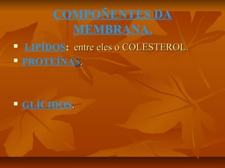 COMPOÑENTES DA
MEMBRANA.





LIPÍDOS: entre eles o COLESTEROL.
PROTEÍNAS.

GLÍCIDOS.

 