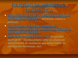 FUNCIÓNS DA MEMBRANA
PLASMÁTICA






FRONTEIRA ENTRE O MEDIO EXTERNO E
INTERNO DA CÉLULA: delimitata ,rodeaa e
protexea.
CONTROLA O INTERCAMBIO DE
SUSTANCIAS ENTRE O MEDIO EXTERNO E
INTERNO DA CÉLULA.
IDENTIFICACIÓN CELULAR: os glícidos
intervén no recoñecemneto entre as células,na
identificación de sustancias que deben entrar na
célula(como hormonas, etc).

 