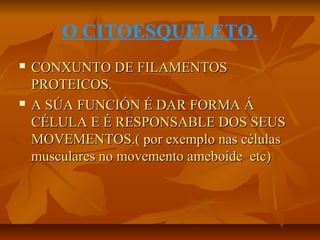 O CITOESQUELETO.




CONXUNTO DE FILAMENTOS
PROTEICOS.
A SÚA FUNCIÓN É DAR FORMA Á
CÉLULA E É RESPONSABLE DOS SEUS
MOVEMENTOS.( por exemplo nas células
musculares no movemento ameboide etc)

 