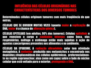 INFLUÊNCIA DAS CÉLULAS ORIGINÁRIAS NAS
CARACTERÍSTICAS DOS DIVERSOS TUMORES
Determinadas células originam tumores com mais freqüência do que
outras.
CÉLULAS QUE SE DIVIDEM MUITAS VEZES (quanto maior a replicação de
DNA, maior é a chance de alteração gênica).
CÉLULAS EPITELIAIS (em adultos, 90% dos tumores). Células epiteliais e
que revestem o corpo e cavidades internas como boca, vias
respiratórias, exôfago e estômago estão mais sujeitas à ação de
agentes cancerígenos presentes nos alimentos e no ambiente.
CÉLULAS DA EPIDERME. A radiação ultravioleta solar tem atividade
mutagênica. A melanina produzida nos melanócitos e encontrada nos
depósitos citoplasmáticos das células epidérmicas, preferencialmen-
te na região supranuclear, atua como um capuz sobre o lado do núcleo
celular que está voltado para o exterior, protegendo o DNA.
 