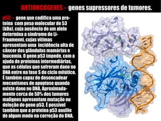 p53 – gene que codifica uma pro-
teína com peso molecular de 53
(kDa), cuja ausência de um alelo
determina a síndrome de Li-
Fraumenni, cujas vítimas
apresentam uma incidência alta de
câncer das glândulas mamárias e
leucemia. O gene p53 impede, com a
ajuda de proteínas intermediárias,
que as células que sofreram dano no
DNA entre na fase S do ciclo mitótico.
É também capaz de desencadear
mecanismos de apoptose quando
existe dano no DNA. Aproximada-
mente cerca de 50% dos tumores
malignos apresentam mutação ou
deleção do gene p53. É possível
também que a proteína p53 auxilie
de algum modo na correção do DNA.
ANTIONCOGENES – genes supressores de tumores.
 