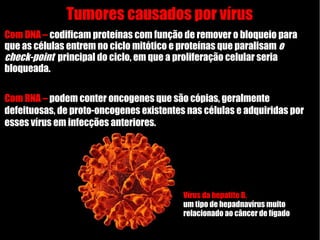 Tumores causados por vírus
Com DNA – codificam proteínas com função de remover o bloqueio para
que as células entrem no ciclo mitótico e proteínas que paralisam o
check-point principal do ciclo, em que a proliferação celular seria
bloqueada.
Com RNA – podem conter oncogenes que são cópias, geralmente
defeituosas, de proto-oncogenes existentes nas células e adquiridas por
esses vírus em infecções anteriores.
Vírus da hepatite B,
um tipo de hepadnavírus muito
relacionado ao câncer de fígado
 