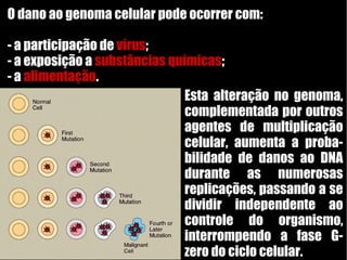 O dano ao genoma celular pode ocorrer com:
- a participação de vírus;
- a exposição a substâncias químicas;
- a alimentação.
Esta alteração no genoma,
complementada por outros
agentes de multiplicação
celular, aumenta a proba-
bilidade de danos ao DNA
durante as numerosas
replicações, passando a se
dividir independente ao
controle do organismo,
interrompendo a fase G-
zero do ciclo celular.
 