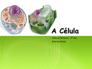 A Célula Ciências Naturais – 7º ano  Gabriela Bruno 