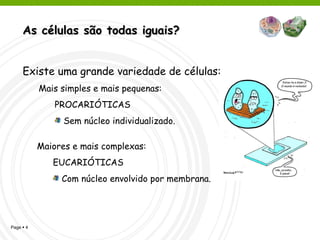 As células são todas iguais? Existe uma grande variedade de células: Mais simples e mais pequenas: PROCARIÓTICAS  Sem núcleo individualizado. Maiores e mais complexas: EUCARIÓTICAS Com núcleo envolvido por membrana. 