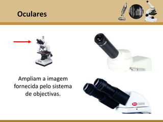 Oculares




  Ampliam a imagem
fornecida pelo sistema
    de objectivas.
 