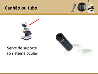 Canhão ou tubo




Serve de suporte
ao sistema ocular
 