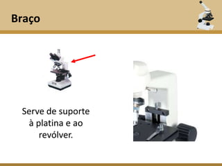 Braço




 Serve de suporte
  à platina e ao
     revólver.
 