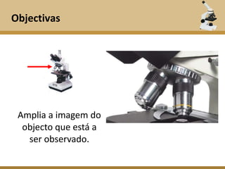 Objectivas




 Amplia a imagem do
  objecto que está a
   ser observado.
 