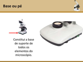 Base ou pé




     Constitui a base
      de suporte de
         todos os
      elementos do
      microscópio.
 