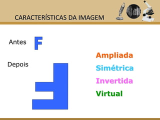 CARACTERÍSTICAS DA IMAGEM


Antes

                        Ampliada
Depois
                        Simétrica
                        Invertida
                        Virtual
 