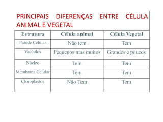 PRINCIPAIS DIFERENÇAS ENTRE CÉLULA
ANIMAL E VEGETAL
  Estrutura          Célula animal        Célula Vegetal
 Parede Celular         Não tem                Tem
    Vacúolos       Pequenos mas muitos   Grandes e poucos
    Núcleo                Tem                  Tem
Membrana Celular          Tem                  Tem
  Cloroplastos          Não Tem                Tem
 