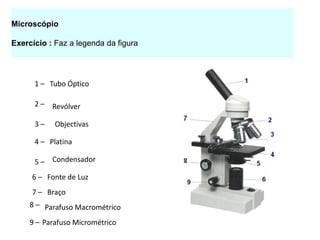 Microscópio

Exercício : Faz a legenda da figura




      1 – Tubo Óptico

      2 – Revólver

      3–    Objectivas

      4 – Platina

      5 – Condensador
     6 – Fonte de Luz
     7 – Braço
     8 – Parafuso Macrométrico

     9 – Parafuso Micrométrico
 