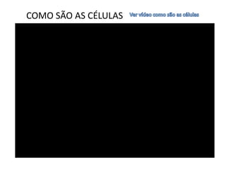 COMO SÃO AS CÉLULAS
 