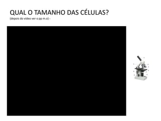 QUAL O TAMANHO DAS CÉLULAS?
(depois do video ver o pp m.o) -
 