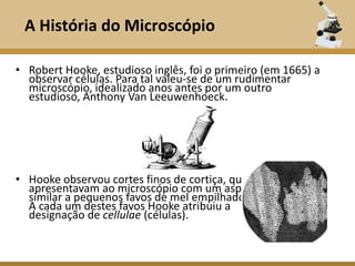 A História do Microscópio

• Robert Hooke, estudioso inglês, foi o primeiro (em 1665) a
  observar células. Para tal valeu-se de um rudimentar
  microscópio, idealizado anos antes por um outro
  estudioso, Anthony Van Leeuwenhoeck.




• Hooke observou cortes finos de cortiça, que se
  apresentavam ao microscópio com um aspecto
  similar a pequenos favos de mel empilhados.
  A cada um destes favos Hooke atribuiu a
  designação de cellulae (células).
 