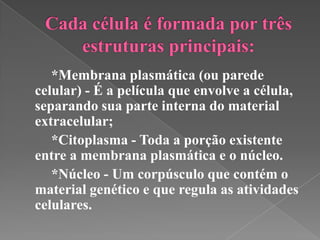 *Membrana plasmática (ou parede
celular) - É a película que envolve a célula,
separando sua parte interna do material
extracelular;
   *Citoplasma - Toda a porção existente
entre a membrana plasmática e o núcleo.
   *Núcleo - Um corpúsculo que contém o
material genético e que regula as atividades
celulares.
 