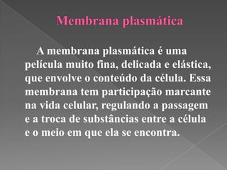 A membrana plasmática é uma
película muito fina, delicada e elástica,
que envolve o conteúdo da célula. Essa
membrana tem participação marcante
na vida celular, regulando a passagem
e a troca de substâncias entre a célula
e o meio em que ela se encontra.
 