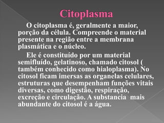 O citoplasma é, geralmente a maior,
porção da célula. Compreende o material
presente na região entre a membrana
plasmática e o núcleo.
   Ele é constituído por um material
semifluído, gelatinoso, chamado citosol (
também conhecido como hialoplasma). No
citosol ficam imersas as organelas celulares,
estruturas que desempenham funções vitais
diversas, como digestão, respiração,
excreção e circulação. A substancia mais
abundante do citosol é a água.
 