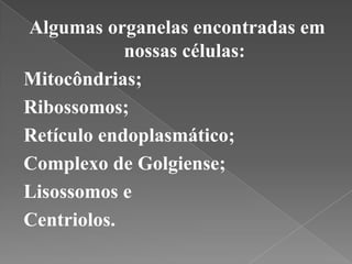 Algumas organelas encontradas em
            nossas células:
Mitocôndrias;
Ribossomos;
Retículo endoplasmático;
Complexo de Golgiense;
Lisossomos e
Centriolos.
 
