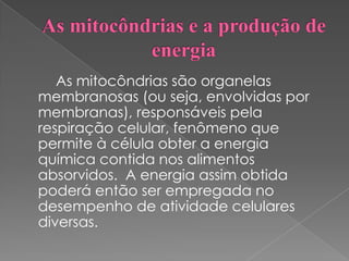 As mitocôndrias são organelas
membranosas (ou seja, envolvidas por
membranas), responsáveis pela
respiração celular, fenômeno que
permite à célula obter a energia
química contida nos alimentos
absorvidos. A energia assim obtida
poderá então ser empregada no
desempenho de atividade celulares
diversas.
 
