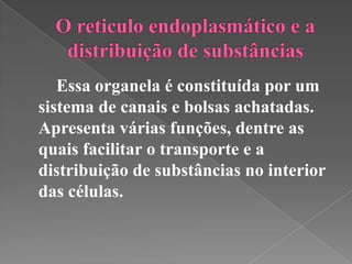 Essa organela é constituída por um
sistema de canais e bolsas achatadas.
Apresenta várias funções, dentre as
quais facilitar o transporte e a
distribuição de substâncias no interior
das células.
 