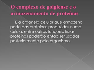 É a organela celular que armazena
parte das proteínas produzidas numa
célula, entre outras funções. Essas
proteínas poderão então ser usadas
posteriormente pelo organismo.
 