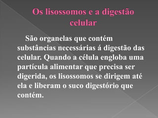 São organelas que contém
substâncias necessárias á digestão das
celular. Quando a célula engloba uma
partícula alimentar que precisa ser
digerida, os lisossomos se dirigem até
ela e liberam o suco digestório que
contém.
 