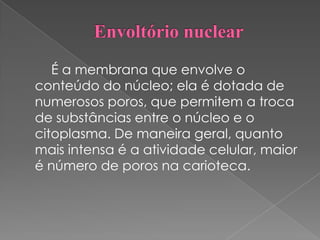 É a membrana que envolve o
conteúdo do núcleo; ela é dotada de
numerosos poros, que permitem a troca
de substâncias entre o núcleo e o
citoplasma. De maneira geral, quanto
mais intensa é a atividade celular, maior
é número de poros na carioteca.
 