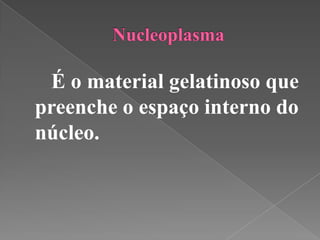 É o material gelatinoso que
preenche o espaço interno do
núcleo.
 