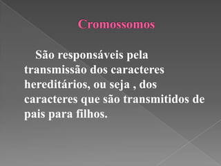 São responsáveis pela
transmissão dos caracteres
hereditários, ou seja , dos
caracteres que são transmitidos de
pais para filhos.
 