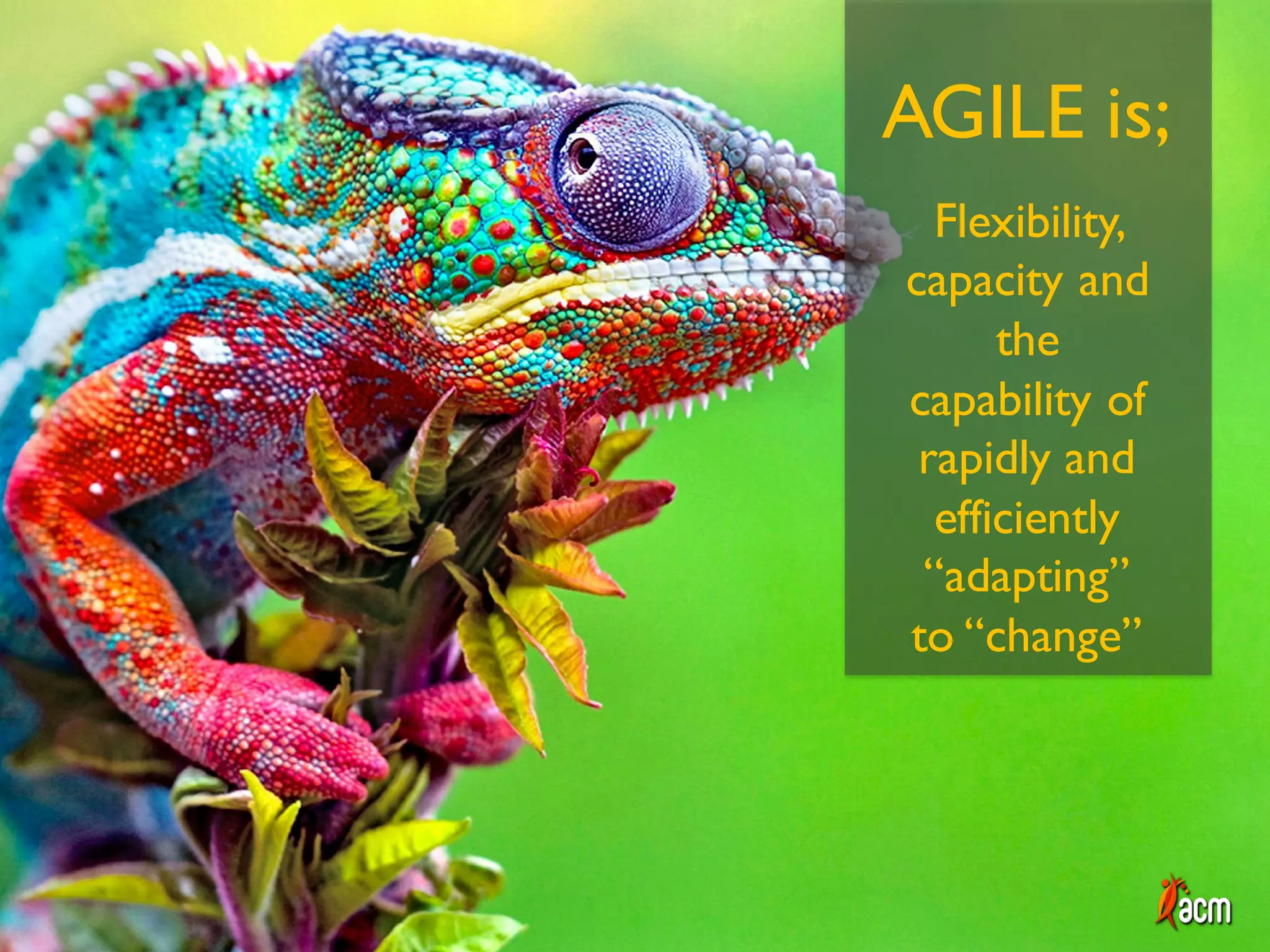 AGILE is;
Flexibility,
capacity and
the
capability of
rapidly and
efficiently
“adapting”
to “change”
 