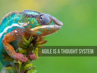 AGILE is a thought system
 