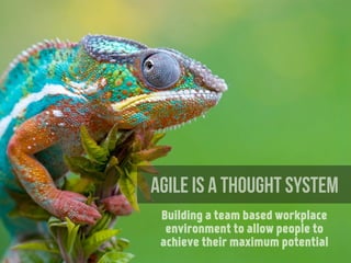 Building a team based workplace
environment to allow people to
achieve their maximum potential
AGILE is a thought system
 