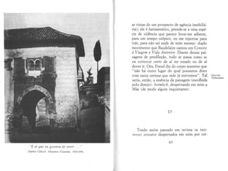 A câmara clara - Roland Barthes