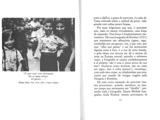 A câmara clara - Roland Barthes