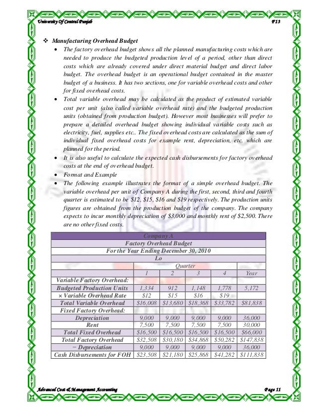project report on master budget
