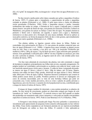 (S); e 0,3 g/dm3
de manganês (Mn), na dosagem de 1 ml por litro de água (Poltronieri et al.,
2000).
Na fase inicial o jambu pode sofrer danos causados por grilos e paquinhas (Cardoso
& Garcia, 1997). É comum após o transplantio, o aparecimento de grilos e paquinhas
cortando as plantas (Poltronieri et al., 2000). O grilo ataca raízes e caules de plântulas
recém germinadas (Villachica, 1996). Grilos e paquinhas atacam o jambu, causando
tombamento das mudas no campo. A fórmula de isca a seguir é indicada para o controle
desses insetos: um quilo de farelo de trigo, cem gramas de inseticida (Triclofon, Carbaril ou
Malathion), cem gramas de açúcar ou melaço e meio litro de água. No preparo mistura-se
primeiro o farelo com o inseticida, em seguida, o açúcar com a água e, finalmente,
misturam-se as duas partes até a formação de uma massa moldada. Devem-se aplicar as
iscas pelos canteiros, na forma de pequenos bolos de dez a vinte gramas, aproximadamente
um bolo por metro quadrado (Poltronieri et al., 1998b).
Nas plantas adultas as lagartas causam sérios danos às folhas. Podem ser
controladas com pulverizações de Decis a 1% (um grama do produto comercial para um
litro de água) (Poltronieri et al., 1998b). A lagarta-rosca ataca cortando as plantas jovens
rente ao solo. Para o seu controle, a isca deve ser: 100 g de inseticida Trichlorfon (pó
molhável a 80%), 200 g de açúcar, 2 kg de farelo de arroz e água suficiente para granular a
mistura. Esta quantidade é suficiente para 1.000 m2
de área. Espalhar ao anoitecer, por cima
do solo e próximo às plantas. À noite, as lagartas saem do solo e são atraídas pelas iscas
(Cardoso & Garcia, 1997).
Em fase mais adiantada de crescimento das plantas, tem sido constatado o ataque
de hemípteros (pulgões), principalmente nas folhas mais jovens, causando enrugamento. Os
pulgões podem ser controlados, pulverizando-se as plantas com calda de fumo, sendo esse
um inseticida natural pouco tóxico para o homem. A calda de fumo é preparada deixando-
se imerso em água (2 litros) e álcool (1 litro), 100g de tabaco, por 24 horas. Depois,
misturar com sabão em barra (50g), picado, dissolvido em água morna (1 litro). Misturar
tudo, diluir para 5 litros de água e aplicar. Pequenos besouros (coleópteros) que comem as
folhas podem causar danos ao jambu. Produtos químicos só devem ser empregados em
casos de extrema necessidade, pois se trata de uma hortaliça folhosa que pode ser
consumida crua. Como medida preventiva, deve-se evitar o plantio de jambu próximo a
leguminosas, pois isto favorece o aumento do nível populacional na área, contribuindo para
o ataque de insetos (Cardoso & Garcia, 1997).
O ataque de fungos também foi detectado e estes podem prejudicar os plantios de
jambu. Na fase inicial de crescimento, podem ser observados ataques por fungos de solo
causadores de “mela” ou “tombamento”. O controle torna-se mais fácil quando as mudas
são produzidas em sementeira onde a área é pequena e o solo pode ser tratado com produtos
específicos (Cardoso & Garcia, 1997). Pode-se usar Benomyl a 0,1% (Villachica, 1996).
A ferrugem é uma doença causada pelo fungo Puccinia spilanthes e caracteriza-se
inicialmente pelo aparecimento de pequenas lesões amarelo-esbranquiçadas na face inferior
das folhas. Essas lesões expandem-se até formarem pústulas de cor marrom-avermelhada
(cor de ferrugem) em ambas as faces das folhas. O controle é feito aplicando-se
 