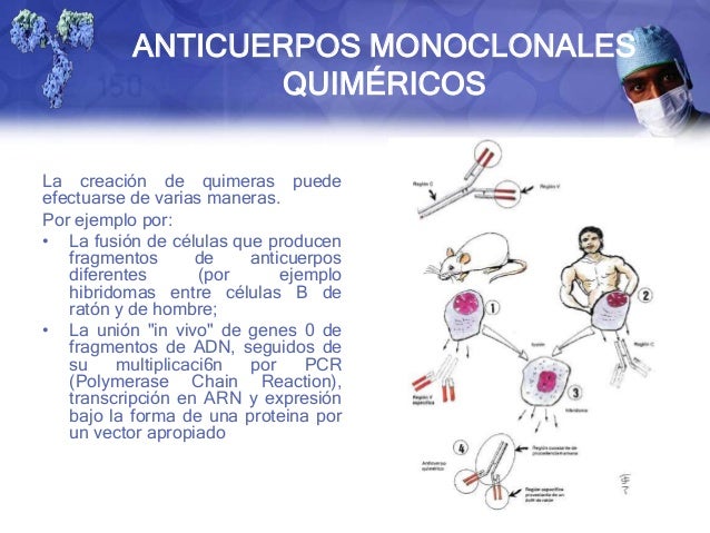Quimérico definición y ejemplos