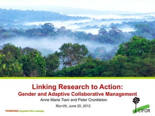 Linking Research to Action:
        Gender and Adaptive Collaborative Management
                       Anne Marie Tiani and Peter Cronkleton
                               Rio+20, June 20, 2012
THINKING beyond the canopy
 