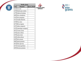 Detaliu_Specie
Cod Denumire Specie_Detaliu
A122 Crex crex 1
A238 Dendrocopos medius 1
A379 Emberiza hortulana 1
A098 Falco columbarius 1
A103 Falco peregrinus 1
A321 Ficedula albicollis 1
A234 Picus canus 1
A073 Milvus migrans 1
A255 Anthus campestris 1
A224 Caprimulgus europaeus 1
A031 Ciconia ciconia 1
A338 Lanius collurio 1
A339 Lanius minor 1
A246 Lullula arborea 1
A307 Sylvia nisoria 1
A089 Aquila pomarina 1
A072 Pernis apivorus 1
A231 Coracias garrulous 1
A092 Hieraetus pennatus 1
 