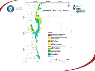vzj.geoscienceworld.org440 × 383; is.mendelu.cz605 × 463
 