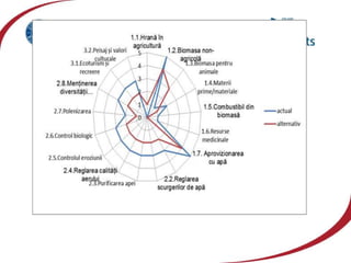 vzj.geoscienceworld.org440 × 383; is.mendelu.cz605 × 463
 