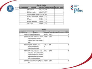 vzj.geoscienceworld.org440 × 383; is.mendelu.cz605 × 463
Clasa_de_Habitat
ID_Clasa_habitat Denumire Suprafata Procentaj_ocupare Sit_Clasa_Habitat
1 Râuri, lacuri 1835,2 ha 32 % 1
2 Mlaştini, turbării 1663,15 ha 29 % 1
3 Pajişti naturale, stepe 1376,4 ha 24 % 1
4 Culturi (teren arabil) 286,5 ha 5 % 1
5 Păşuni 344,1 ha 6 % 1
6 Păduri de foioase 114,7 ha 2 % 1
7 Vii şi livezi 114,7 ha 2 % 1
Habitat
ID_Habitat Cod Denumire Suprafata Procentaj_ocupare Ecosistema_Habitat
1 3160 Lacuri distrofice şi iazuri 36,9 ha 0,64 % 1
2 6430 Comunităţi de lizieră cu ierburi
înalte higrofile de la nivelul
câmpiilor, până la cel montan şi
alpin
61,9 ha 1,07 % 2
3 6510 Pajişti de altitudine joasă
(Alopecurus pratensis,
Sanguisorba officinalis)
1720, 5
ha
30% 3
4 91F0 91F0 – Păduri ripariene mixte
cu Quercus robur, Ulmus laevis,
Fraxinus excelsior sau Fraxinus
angustifolia, din lungul marilor
râuri (Ulmenion minoris)
41 ha 0,71% 4
5 92A0 Zăvoaie cu Salix alba şi Populus
alba
73,99 ha 1,29 % 2
 