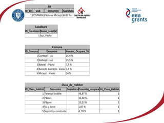 Sit
ID_Sit Cod Denumire Suprafata
1 ROSPA096 Pădurea Micleşti 8631 ha
Localizare
ID_Localizare Nume_Judet(e)
1 Iaşi, Vaslui
Comuna
ID_Comuna Denumire Procent_Ocupare_Sit
1 Ciortești - Iaşi 25.9 %
2 Dolhești - Iaşi 35,5 %
3 Boțești - Vaslui 7,5 %
4 Bunești- Averești - Vaslui 7,1 %
5 Miclești - Vaslui 24 %
Clasa_de_Habitat
ID_Clasa_habitat Denumire Suprafata Procentaj_ocupare Sit_Clasa_Habitat
1 Terenuri arabile 48,87 % 1
2 Păduri 32,40 %, 1
3 Păşuni 10,23 % 1
4 Vii şi livezi 1,87 % 1
5 Suprafeţe construite 4, 39 % 1
 