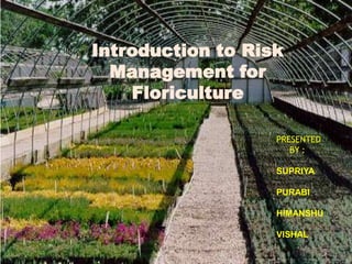 Introduction to Risk
  Management for
    Floriculture

                   PRESENTED
                      BY :

                   SUPRIYA

                   PURABI

                   HIMANSHU

                   VISHAL
 
