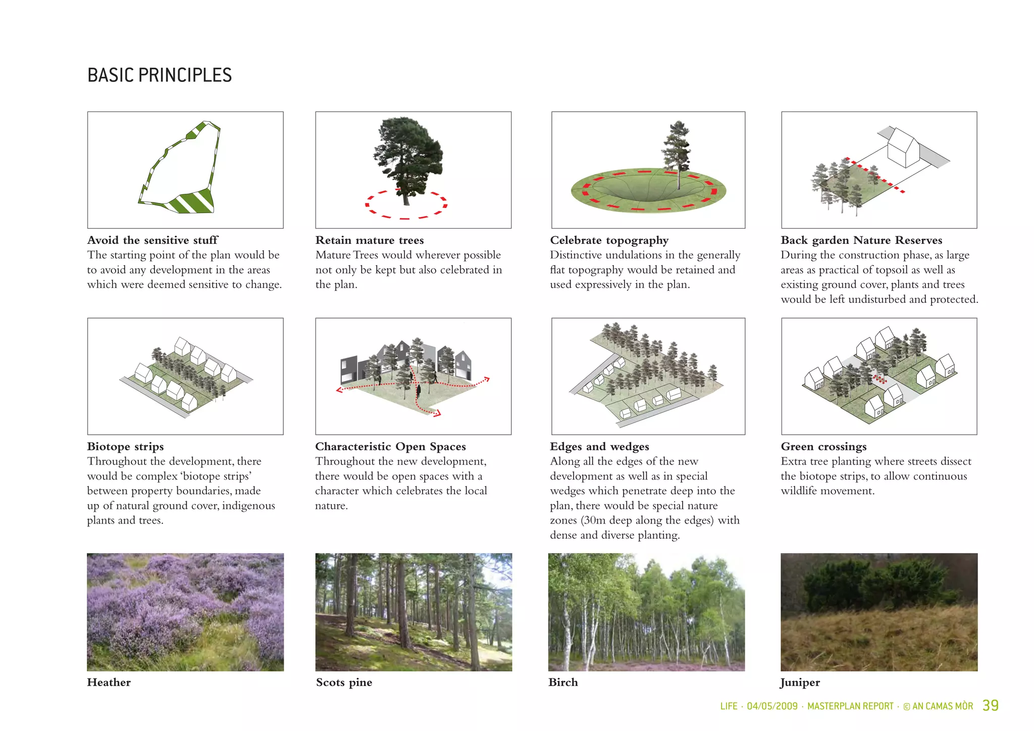 LIFE · 04/05/2009 · MASTERPLAN REPORT · © AN CAMAS MÒR 39
BASIC PRINCIPLES
Retain mature trees
Mature Trees would wherever possible
not only be kept but also celebrated in
the plan.
Celebrate topography
Distinctive undulations in the generally
flat topography would be retained and
used expressively in the plan.
Back garden Nature Reserves
During the construction phase, as large
areas as practical of topsoil as well as
existing ground cover, plants and trees
would be left undisturbed and protected.
Green crossings
Extra tree planting where streets dissect
the biotope strips, to allow continuous
wildlife movement.
Biotope strips
Throughout the development, there
would be complex ‘biotope strips’
between property boundaries, made
up of natural ground cover, indigenous
plants and trees.
Characteristic Open Spaces
Throughout the new development,
there would be open spaces with a
character which celebrates the local
nature.
Edges and wedges
Along all the edges of the new
development as well as in special
wedges which penetrate deep into the
plan, there would be special nature
zones (30m deep along the edges) with
dense and diverse planting.
Heather Scots pine Birch Juniper
Avoid the sensitive stuff
The starting point of the plan would be
to avoid any development in the areas
which were deemed sensitive to change.
 